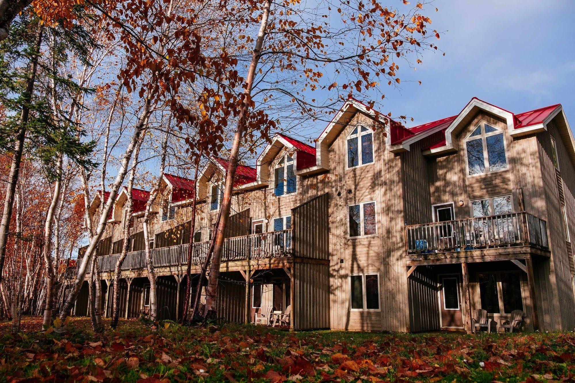 Marblewood Village Resort Steady Brook Luaran gambar